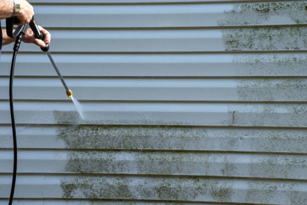 Best Furniture Removal  in Hartsville, SC